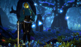 the witch in the woods